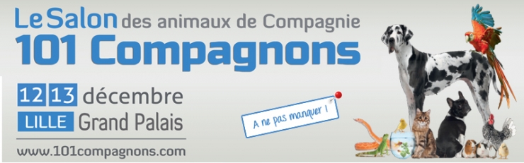 Illustration de l'article : Venez découvrir le Salon des Animaux de Compagnie à Lille le 12 et 13 décembre 2015 !