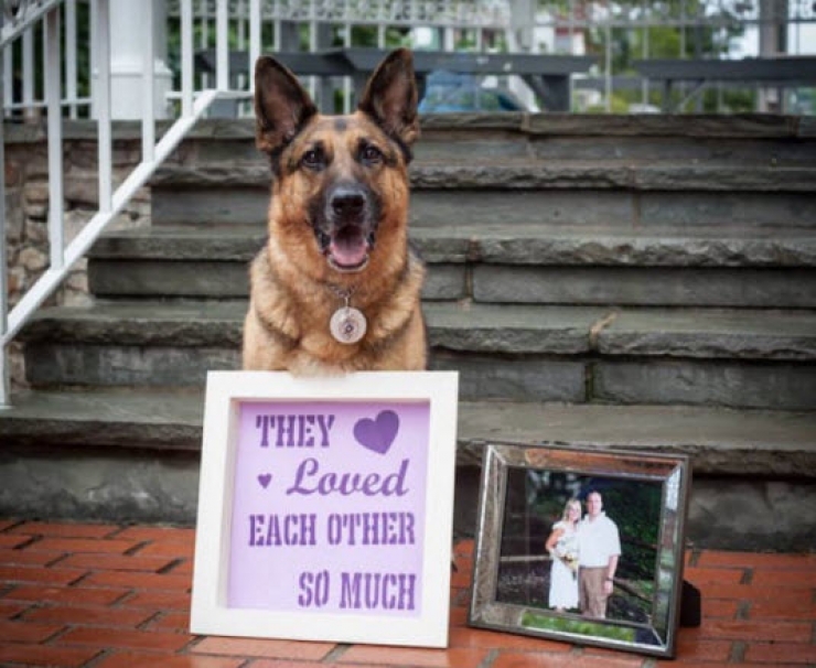 Illustration de l'article : Elle pose sur une photo avec son chien mais attendez de voir ce qu’elle tient en main… Magnifique hommage !