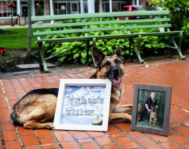 Illustration de l'article : Elle pose sur une photo avec son chien mais attendez de voir ce qu’elle tient en main… Magnifique hommage !