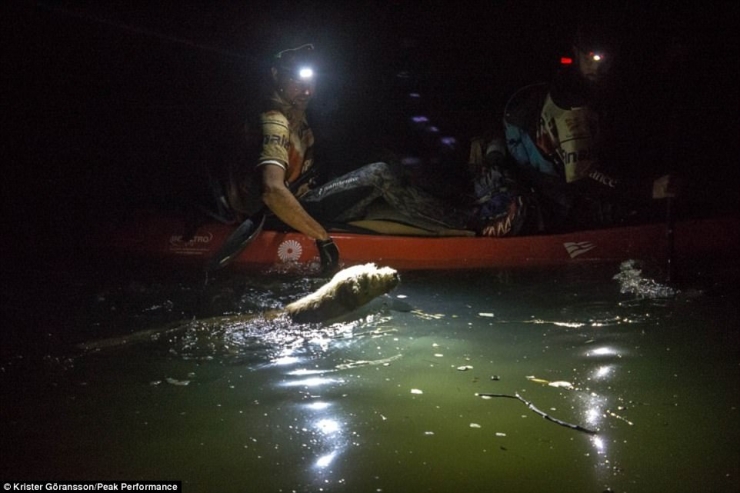 Illustration de l'article : En donnant une simple boulette de viande à un chien errant, il ne s’imaginait pas que ça changerait sa vie...