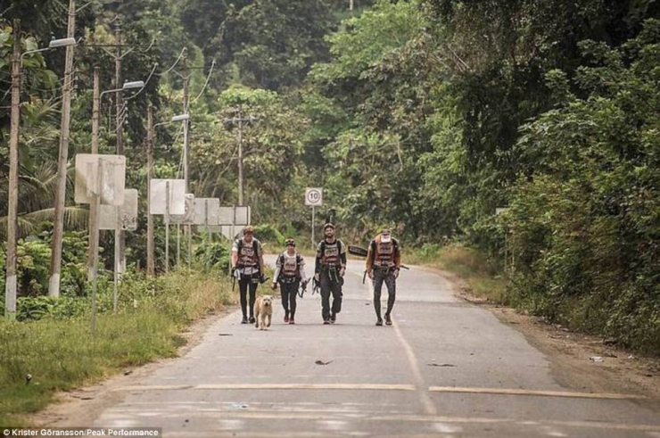 Illustration de l'article : En donnant une simple boulette de viande à un chien errant, il ne s’imaginait pas que ça changerait sa vie...
