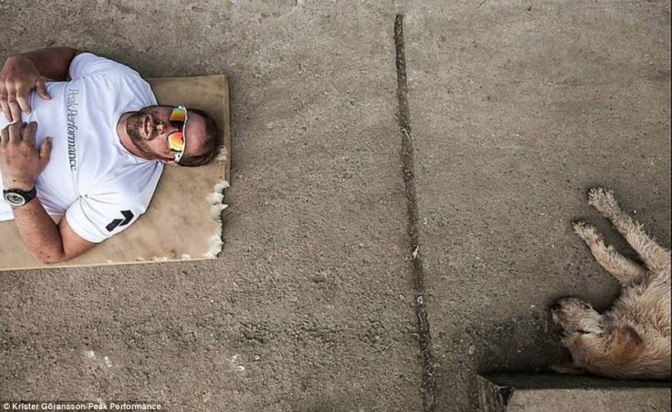 Illustration de l'article : En donnant une simple boulette de viande à un chien errant, il ne s’imaginait pas que ça changerait sa vie...