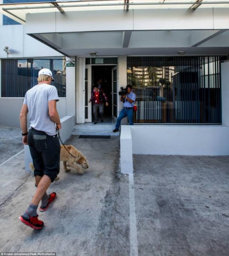 Illustration de l'article : En donnant une simple boulette de viande à un chien errant, il ne s’imaginait pas que ça changerait sa vie...