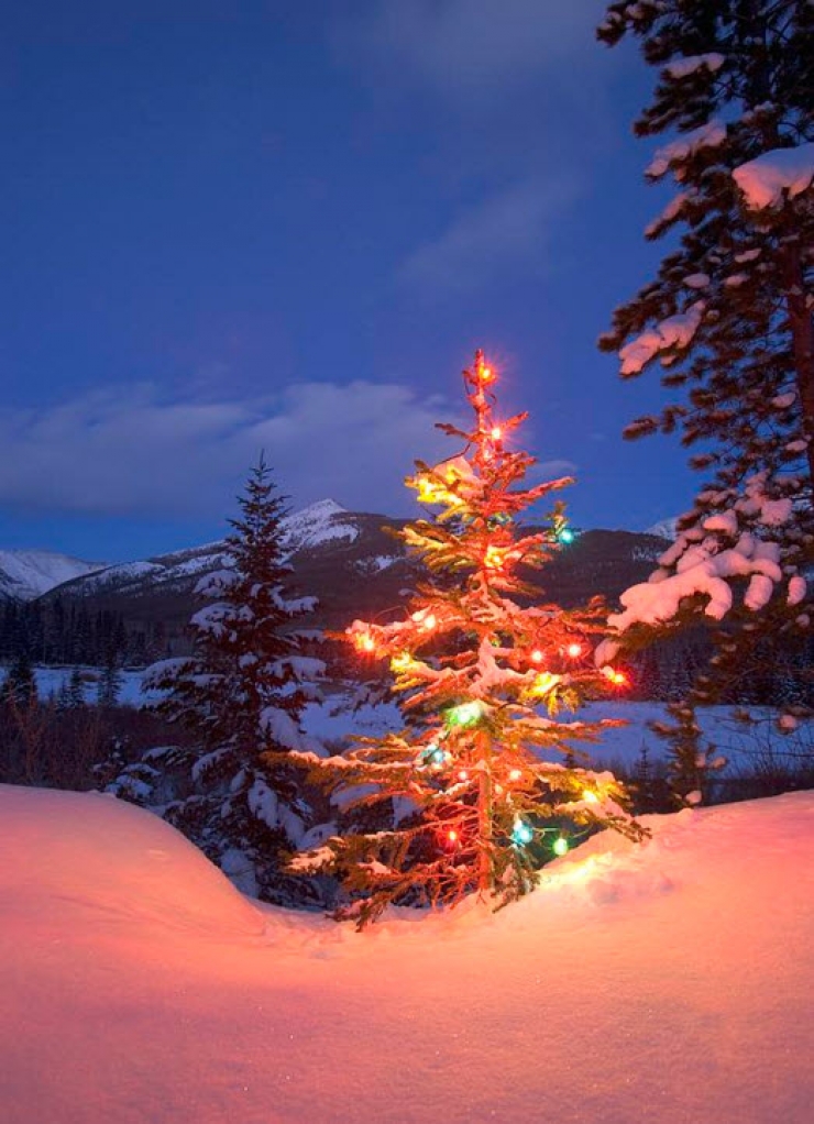 Illustration de l'article : Découvrez ces 19 magnifiques idées de décorations qui illumineront votre fête de Noël…La 2 est très facile à faire !