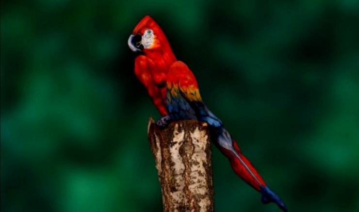 Illustration de l'article : Regardez bien cette photo... Une femme se cache dessus ! Arriverez-vous à la trouver ?