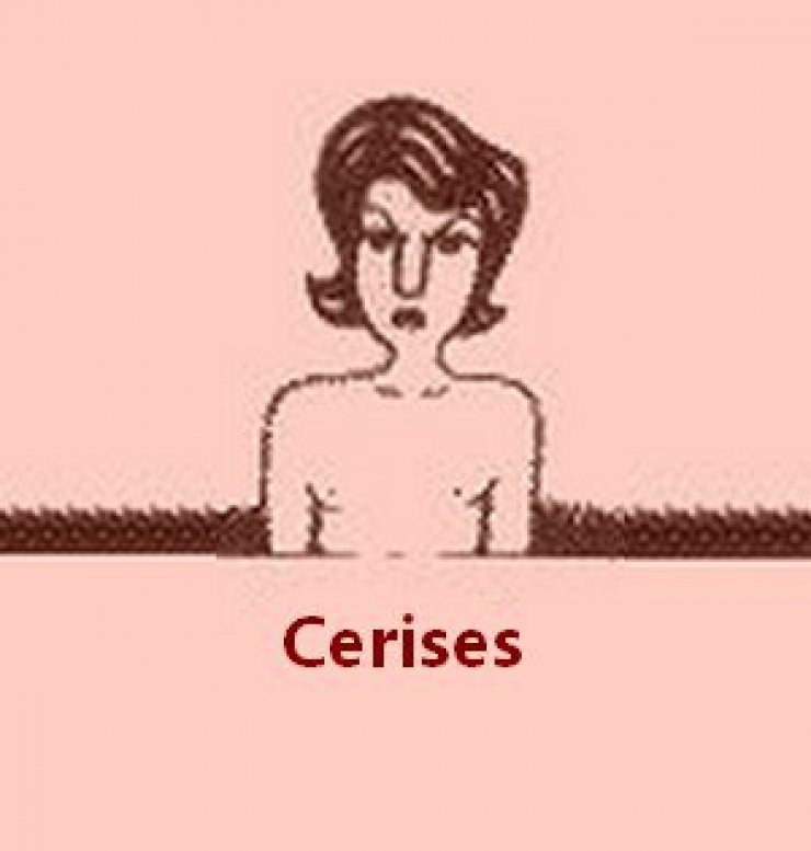 Illustration de l'article : Astuce: La forme de vos seins peut en dire beaucoup sur vous, vous allez être surprise !