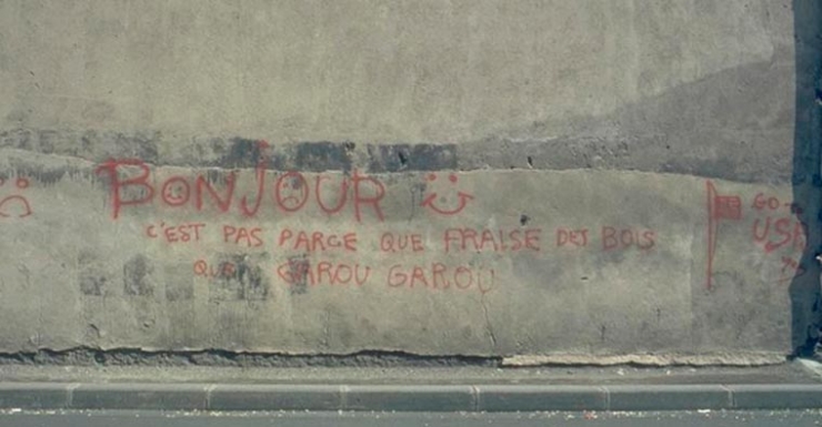 Illustration de l'article : Les Graffitivre: Des graffitis hilarants mais désordonnés faits par des gens complètement ivres !