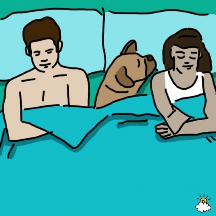 Illustration de l'article : La position dans laquelle vous dormez avec votre animal r&eacute;v&eacute;lerait tout sur votre relation&hellip;Voici 9 positions et leurs significations !