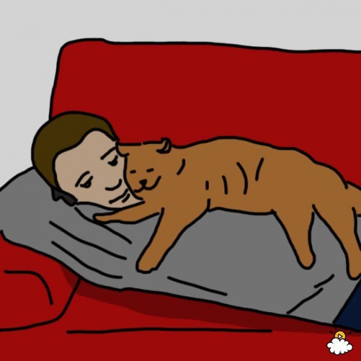 Illustration de l'article : La position dans laquelle vous dormez avec votre animal r&eacute;v&eacute;lerait tout sur votre relation&hellip;Voici 9 positions et leurs significations !