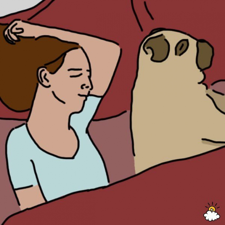 Illustration de l'article : La position dans laquelle vous dormez avec votre animal r&eacute;v&eacute;lerait tout sur votre relation&hellip;Voici 9 positions et leurs significations !