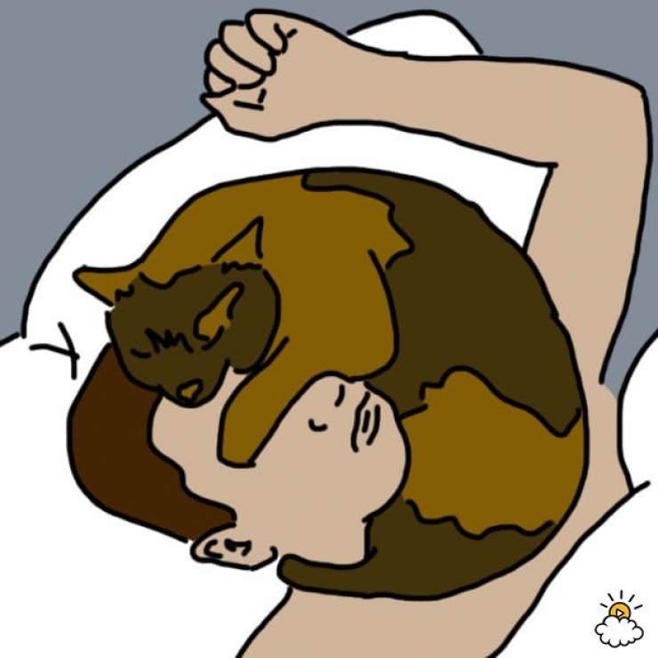 Illustration de l'article : La position dans laquelle vous dormez avec votre animal r&eacute;v&eacute;lerait tout sur votre relation&hellip;Voici 9 positions et leurs significations !