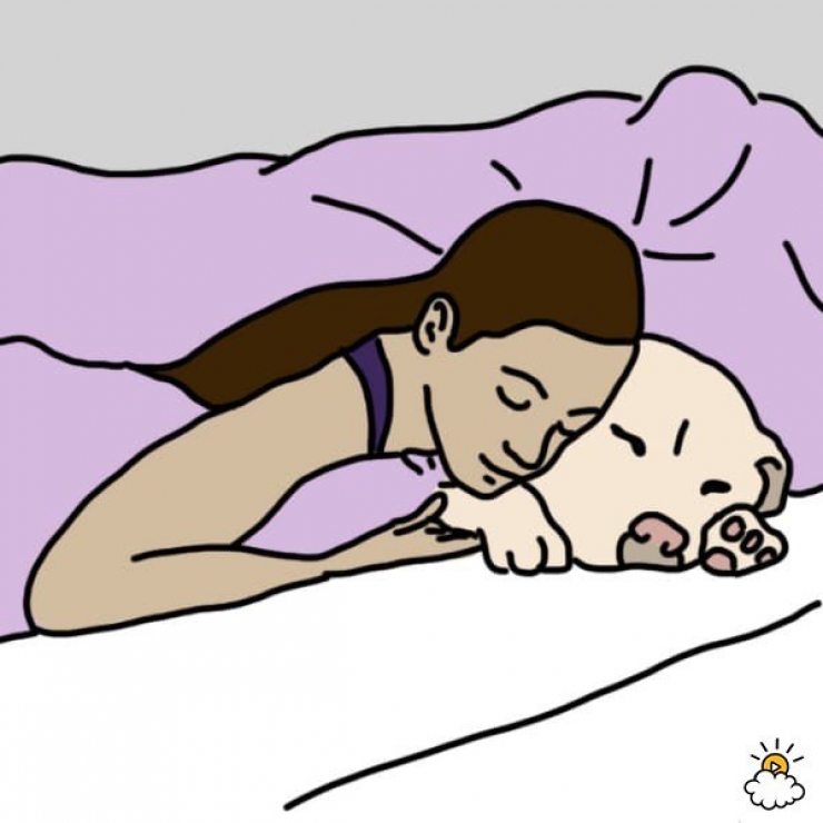 Illustration de l'article : La position dans laquelle vous dormez avec votre animal r&eacute;v&eacute;lerait tout sur votre relation&hellip;Voici 9 positions et leurs significations !
