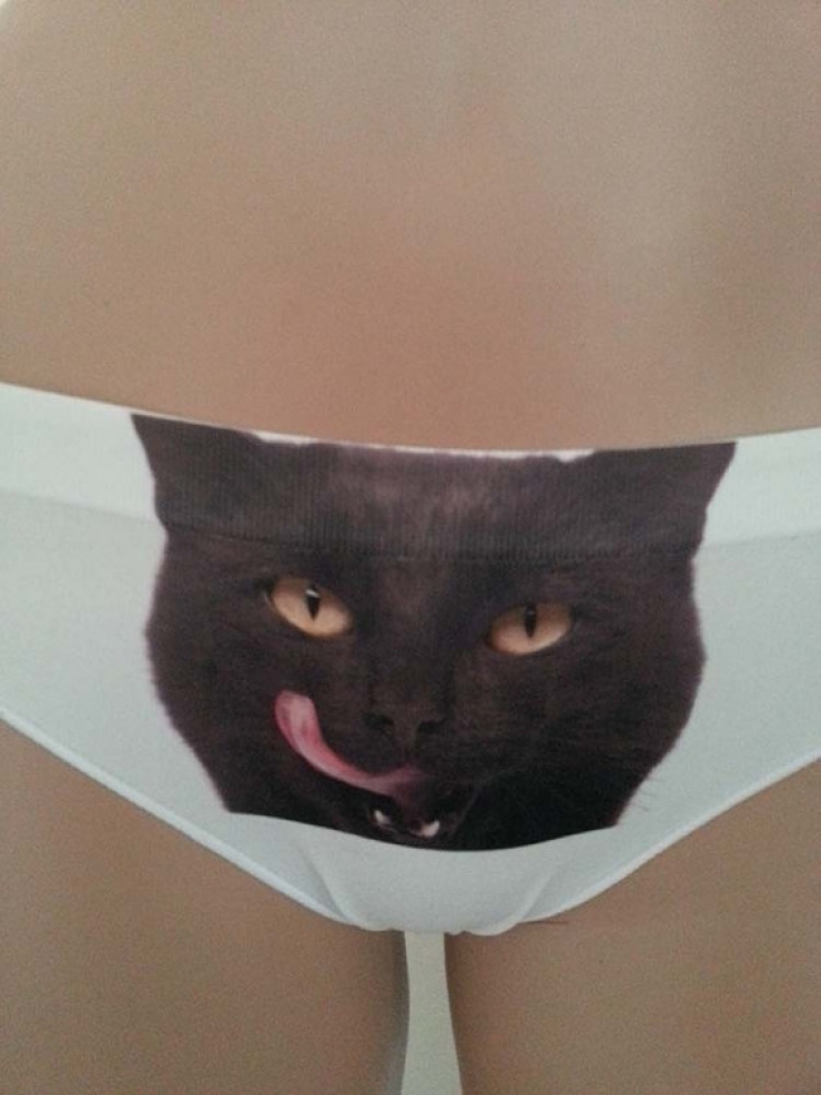 Guy léchage chatte porno