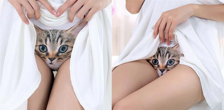 Illustration de l'article : La culotte avec un chat imprimé dessus: La tendance qui fait fureur pour le moment ! Pensez-y pour les fêtes…