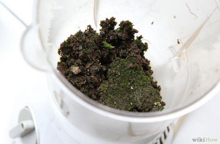 Illustration de l'article : Ce qu’il prépare est interdit par la loi, pourtant c’est vraiment magnifique...