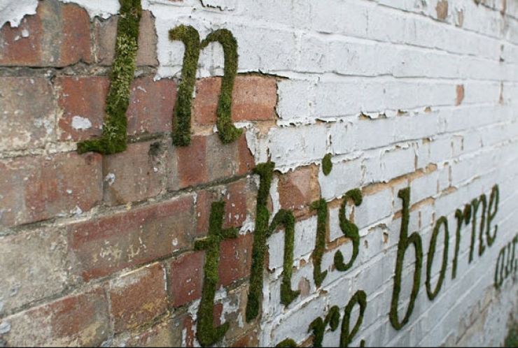 Illustration de l'article : Ce qu’il prépare est interdit par la loi, pourtant c’est vraiment magnifique...