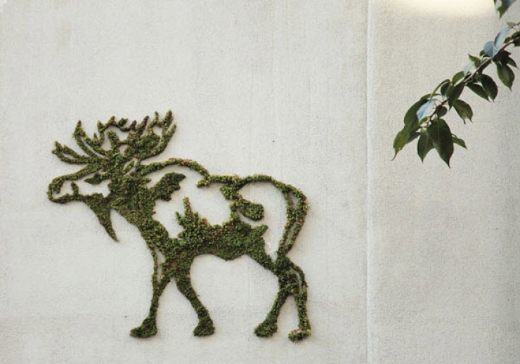 Illustration de l'article : Ce qu’il prépare est interdit par la loi, pourtant c’est vraiment magnifique...