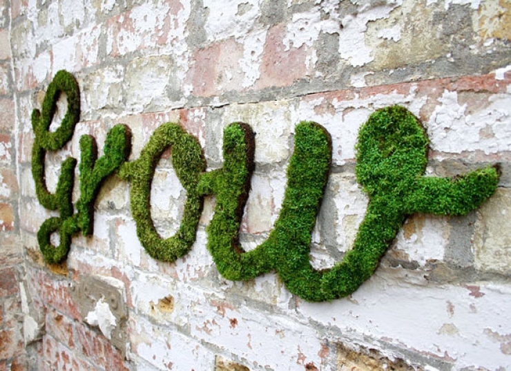 Illustration de l'article : Ce qu’il prépare est interdit par la loi, pourtant c’est vraiment magnifique...