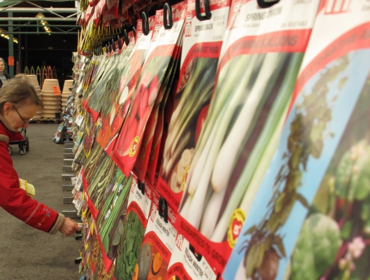 Illustration de l'article : Ne jetez plus ces sachets anti-humidité que vous trouvez dans vos chaussures, ils peuvent être très utiles !