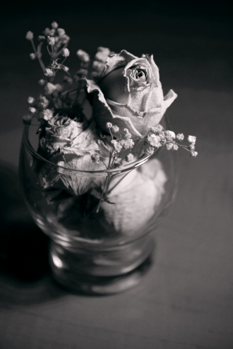 Illustration de l'article : Ne jetez plus ces sachets anti-humidité que vous trouvez dans vos chaussures, ils peuvent être très utiles !