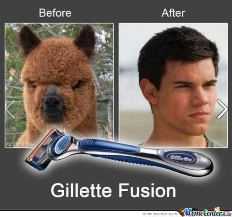 Illustration de l'article : Ne jetez plus ces sachets anti-humidité que vous trouvez dans vos chaussures, ils peuvent être très utiles !