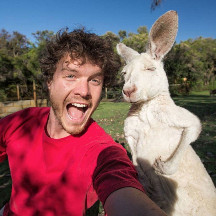 Illustration de l'article : Allan Dixon ou l’homme capable de faire des selfies incroyables avec les animaux...