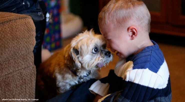Illustration de l'article : Voici 25 photos qui montrent l’importance pour un enfant d’avoir un meilleur ami à 4 pattes…Ils sont trop mignon !