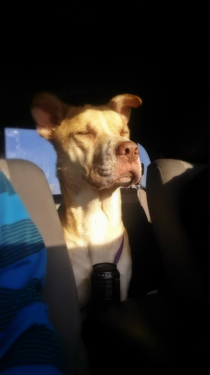 Illustration de l'article : Ils tombent sur une femme couchée au sol pourtant ce n’est pas elle qu’il faut sauver...