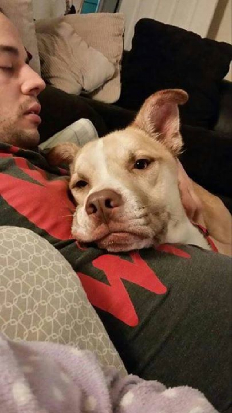 Illustration de l'article : Ils tombent sur une femme couchée au sol pourtant ce n’est pas elle qu’il faut sauver...