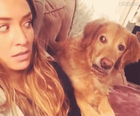 Illustration de l'article : Ces 17 GIFs d'animaux qui font les clowns vont vous mettre de bonne humeur