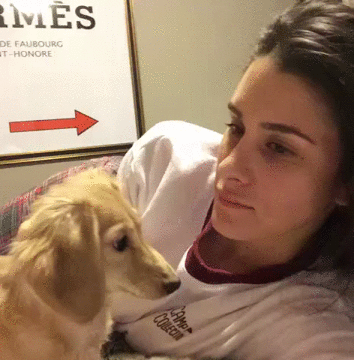 Illustration de l'article : Ces 17 GIFs d'animaux qui font les clowns vont vous mettre de bonne humeur