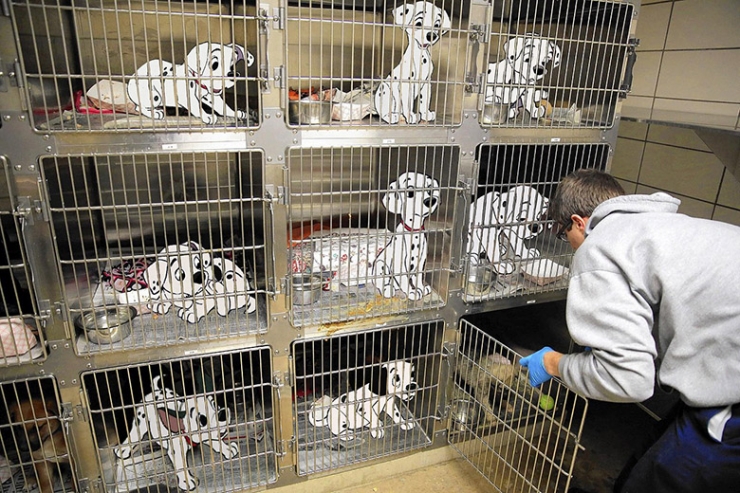 Illustration de l'article : Quand les personnages de Disney sont confrontés à notre triste réalité !