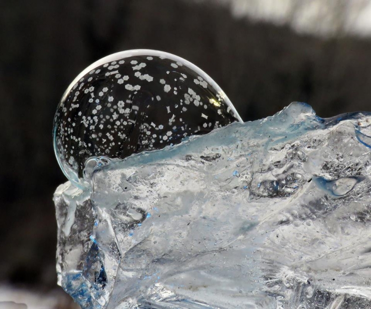 Illustration de l'article : Cette artiste r&eacute;alise ses oeuvres d'art &agrave; partir de bulles de savon gel&eacute;es