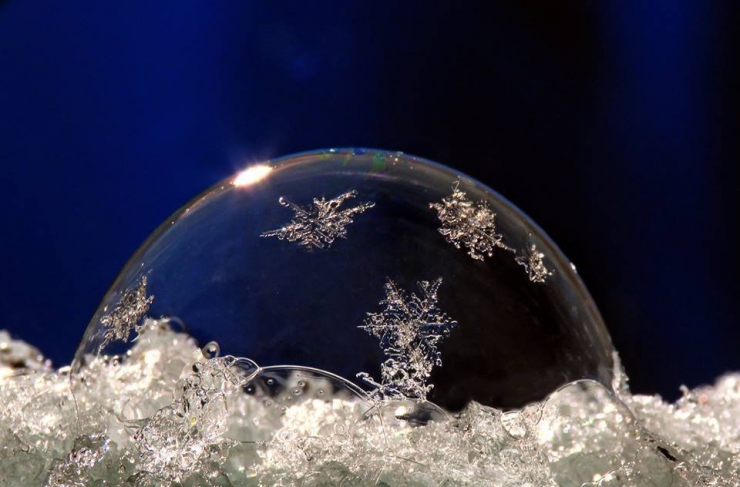 Illustration de l'article : Cette artiste r&eacute;alise ses oeuvres d'art &agrave; partir de bulles de savon gel&eacute;es