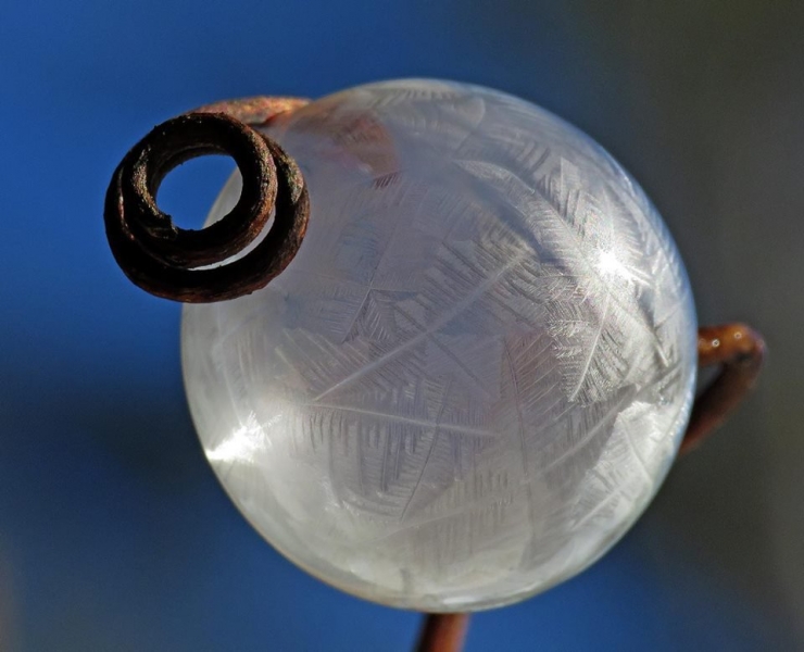 Illustration de l'article : Cette artiste r&eacute;alise ses oeuvres d'art &agrave; partir de bulles de savon gel&eacute;es