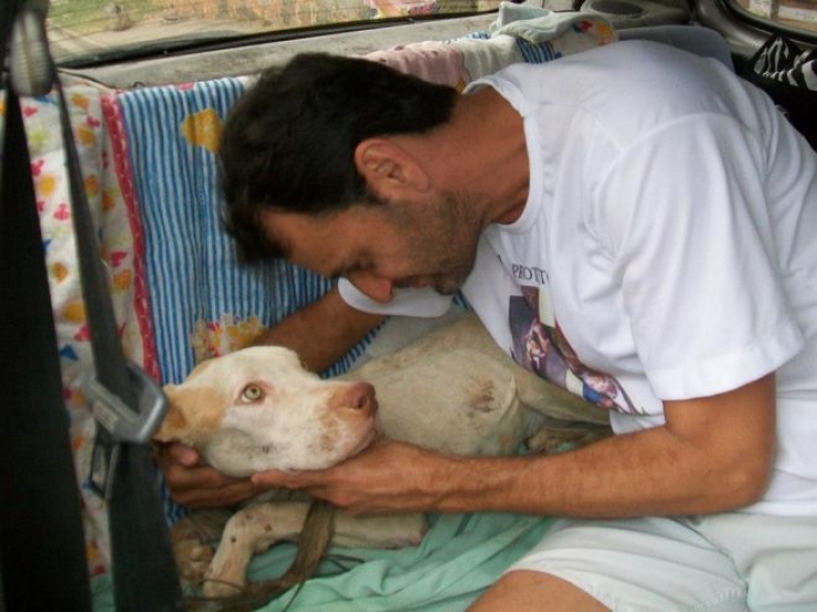 Illustration de l'article : Les passants ignoraient ce pauvre chien dans les poubelles, mais un homme a fait ce qu'il fallait et a chang&eacute; sa vie!