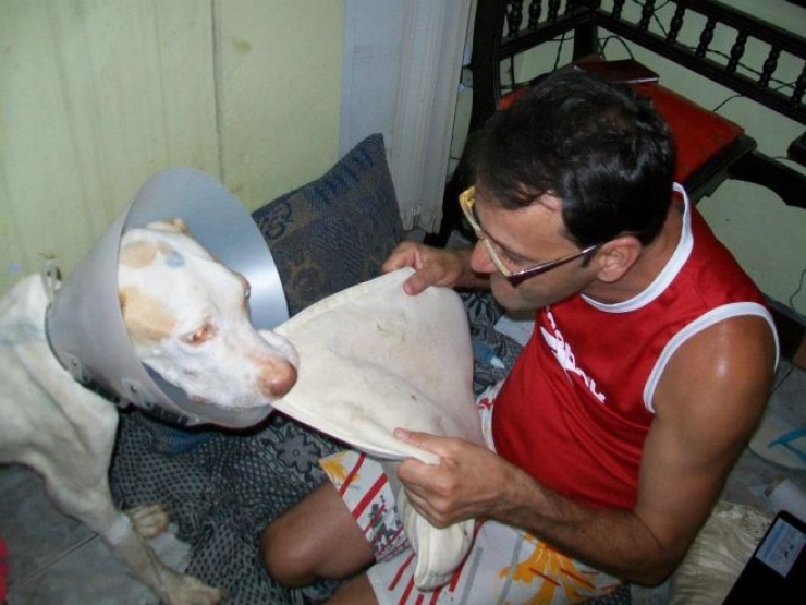 Illustration de l'article : Les passants ignoraient ce pauvre chien dans les poubelles, mais un homme a fait ce qu'il fallait et a chang&eacute; sa vie!