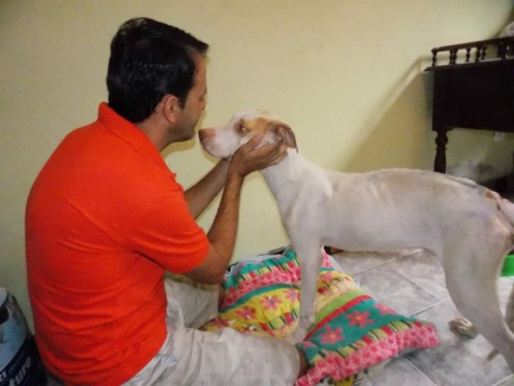 Illustration de l'article : Les passants ignoraient ce pauvre chien dans les poubelles, mais un homme a fait ce qu'il fallait et a chang&eacute; sa vie!