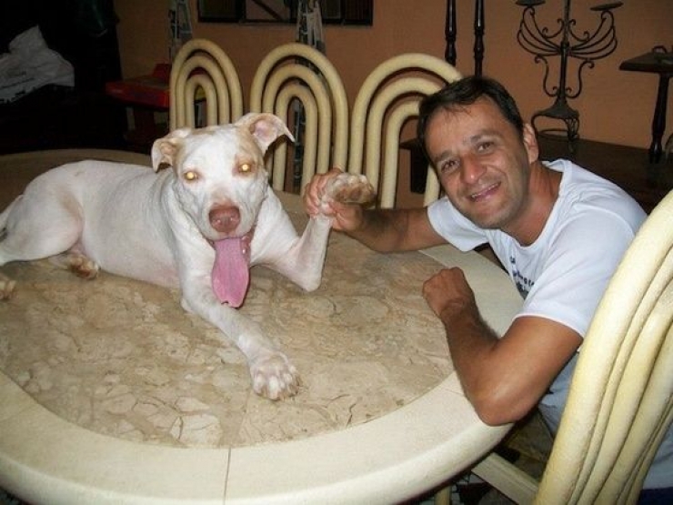 Illustration de l'article : Les passants ignoraient ce pauvre chien dans les poubelles, mais un homme a fait ce qu'il fallait et a chang&eacute; sa vie!