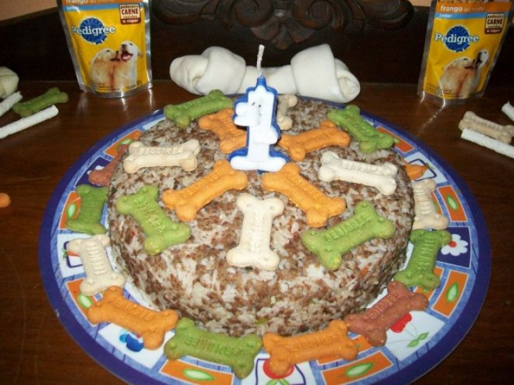 Illustration de l'article : Les passants ignoraient ce pauvre chien dans les poubelles, mais un homme a fait ce qu'il fallait et a chang&eacute; sa vie!