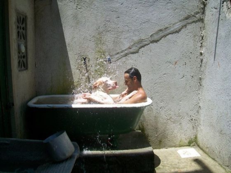 Illustration de l'article : Les passants ignoraient ce pauvre chien dans les poubelles, mais un homme a fait ce qu'il fallait et a chang&eacute; sa vie!