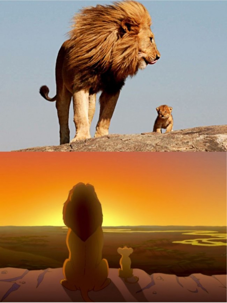 Illustration de l'article : 15 images qui prouvent que le Roi Lion est inspiré de la vraie vie !