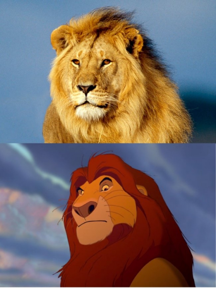 Illustration de l'article : 15 images qui prouvent que le Roi Lion est inspiré de la vraie vie !