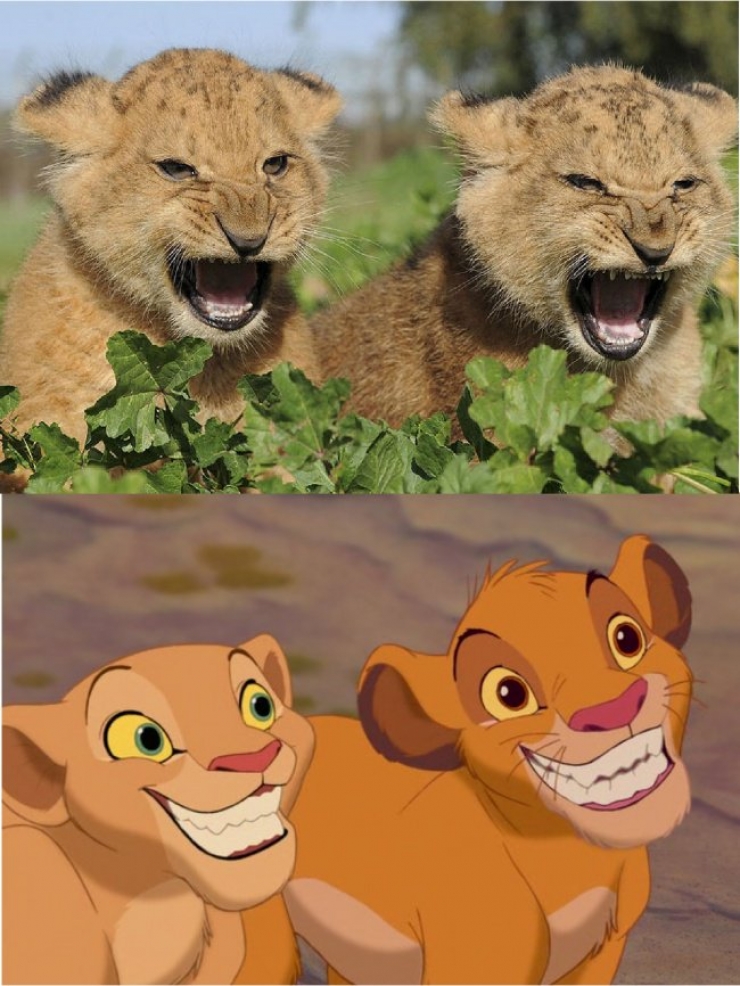 Illustration de l'article : 15 images qui prouvent que le Roi Lion est inspiré de la vraie vie !