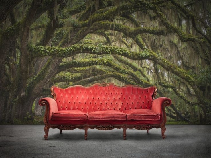 Illustration de l'article : 44 d&eacute;corations murales &agrave; couper le souffle! Ca pourrait vous donner des id&eacute;es !