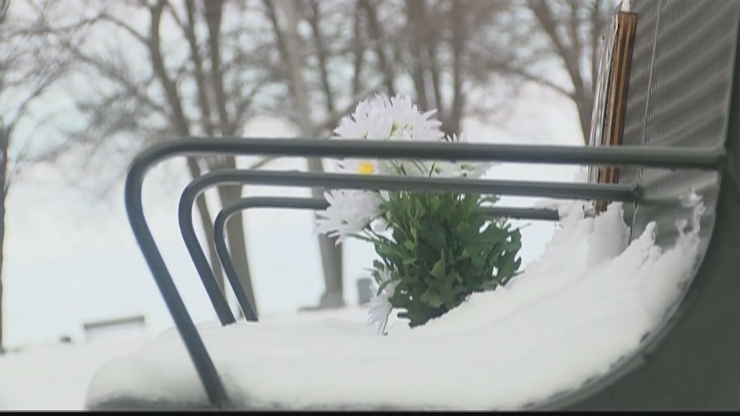 Illustration de l'article : Voil&agrave; 2 ans qu'il se rend tous les jours sur le banc de ce parc pour une raison magnifique !