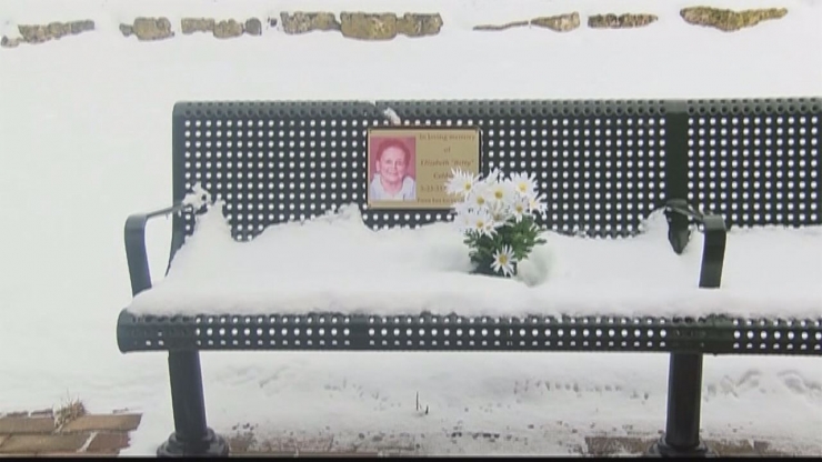 Illustration de l'article : Voil&agrave; 2 ans qu'il se rend tous les jours sur le banc de ce parc pour une raison magnifique !