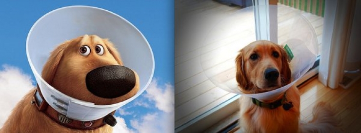 Illustration de l'article : Et si on croisait les personnages Disney dans la r&eacute;alit&eacute;