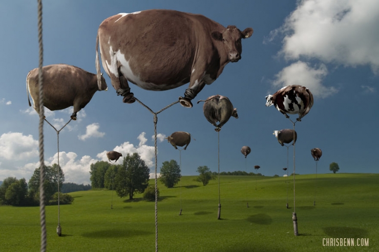 Illustration de l'article : Le monde surréaliste et peuplé d'animaux étranges de Chris Bennett (12 photos)