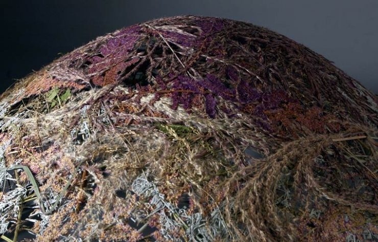 Illustration de l'article : Cet homme fait s&eacute;cher des fleurs et ce qu'il en fait est superbe